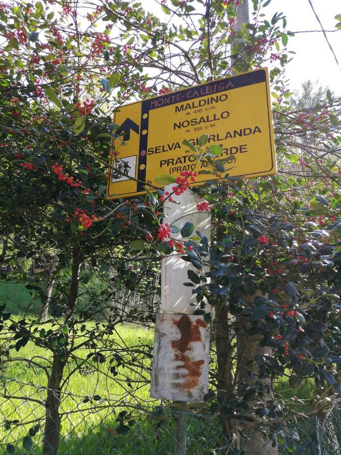 Agriturismo Nona Emma Piano Porlezza Eksteriør billede